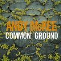 Andy McKee Common Ground